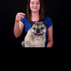 Meet your Posher, Hayley